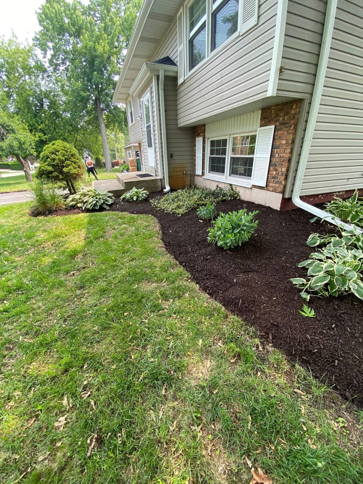 brown mulch with plants