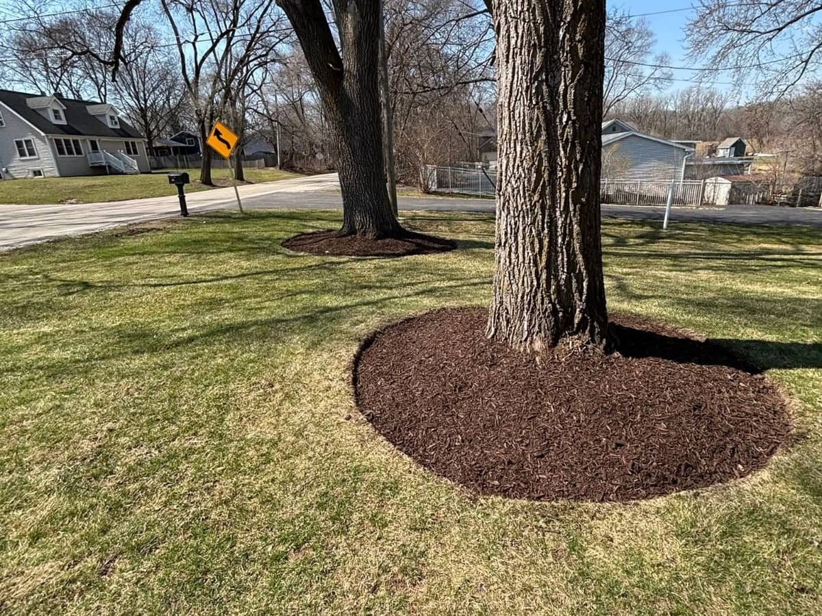 freshly cut lawn with tree mulch