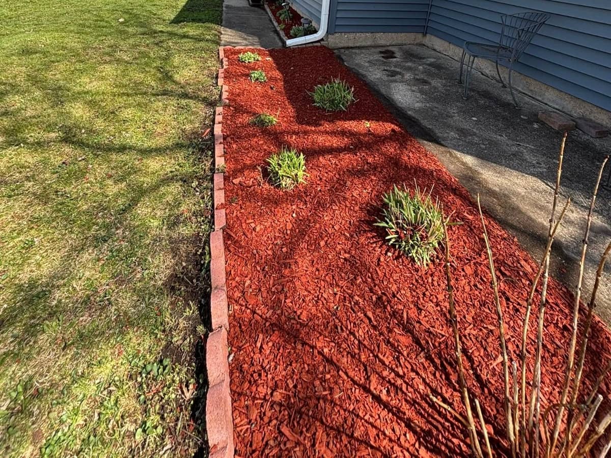 mulching installed with plants